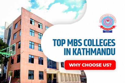 Top MBS Colleges in Kathmandu. Why Choose Us (1)